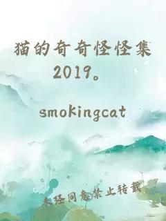 猫的奇奇怪怪集2019。