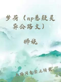 梦荷（np悬疑灵异公路文）